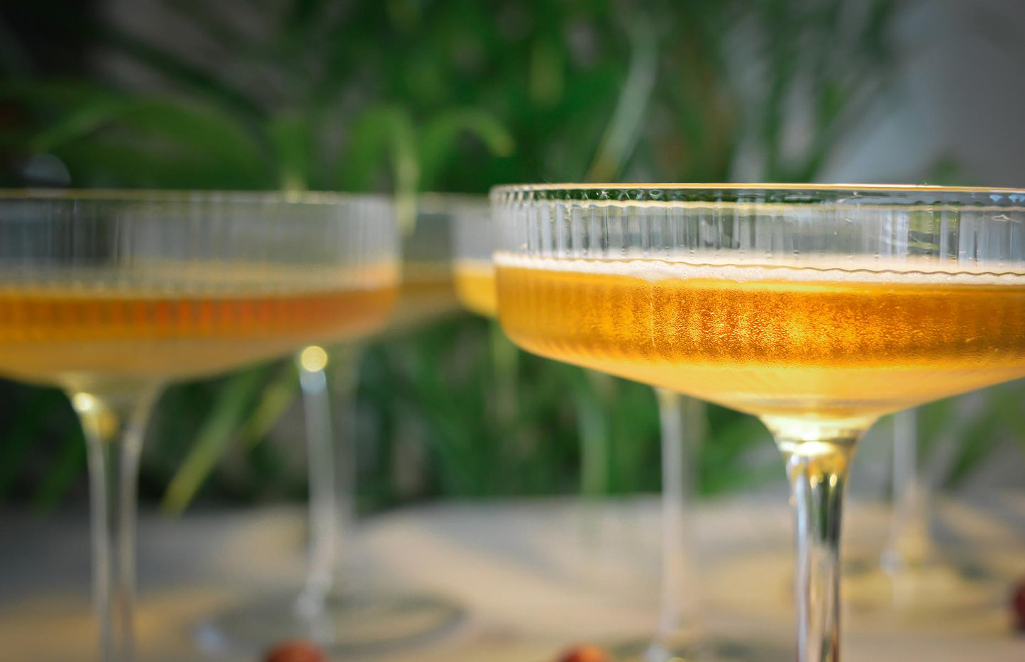 6 Margarita Gläser Marguerita Margarita Bargläser Cocktailgläser Margaritagläser