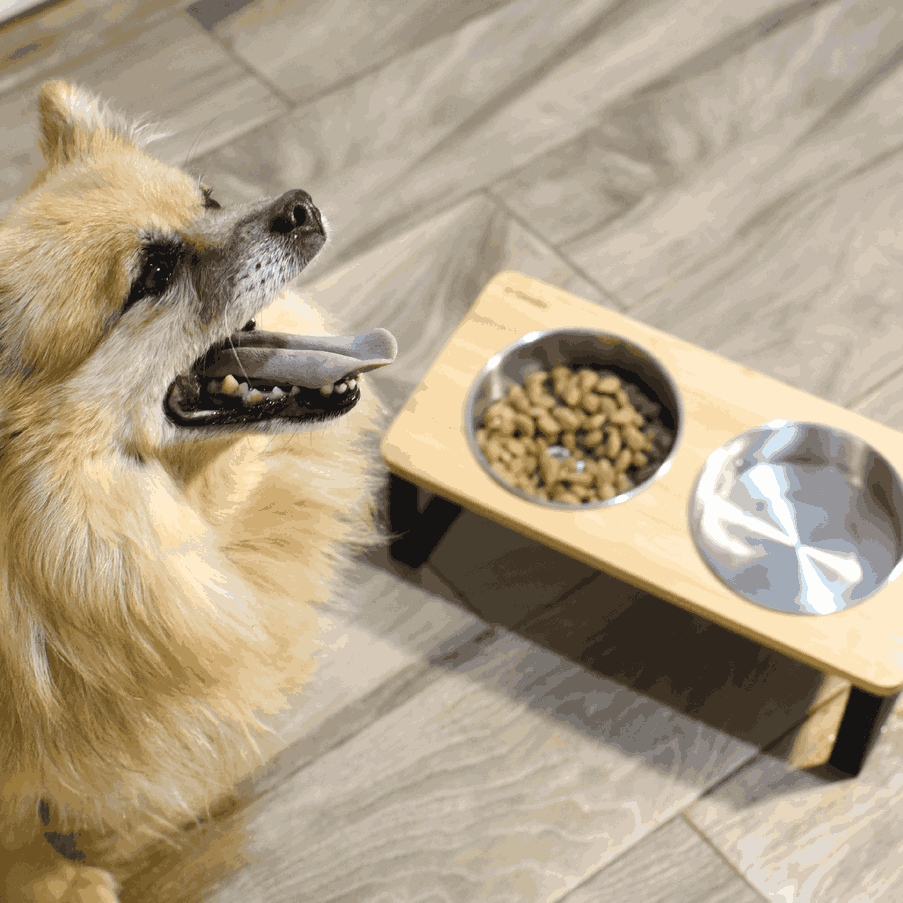 Erhöhter Doppelnapf Katzennapf Hund Napf Set Edelstahl Bambus 2x250ml